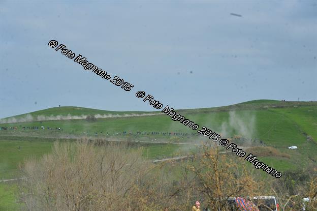 DSC_7100.JPG